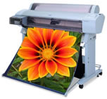 printerflower