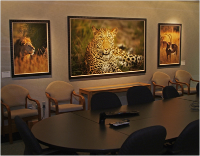 Many of Brian Hampton’s images decorate the lobby, hallways, and meeting rooms of the corporate headquarters of Cleo Communications, where Hampton is the CEO. Read more in LexJet’s In Focus newsletter Vol. 2, No. 11