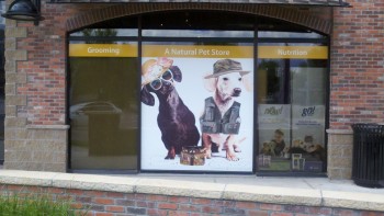 Printing window murals with a large format inkjet printer
