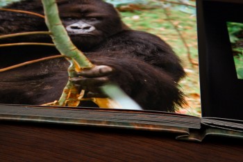 Africa coffee table book