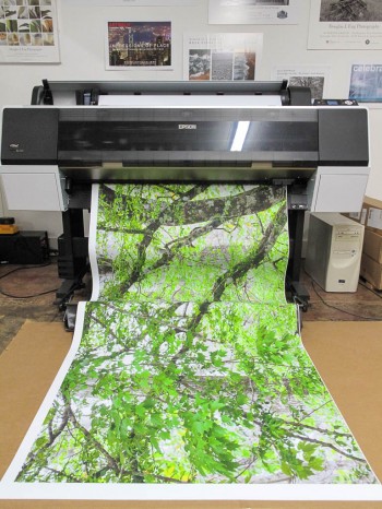 Printing LexJet Fabric on an Epson 9900 Inkjet printer