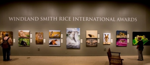 Smithsonian Exhibition of the Windland Smith Rice International Awards