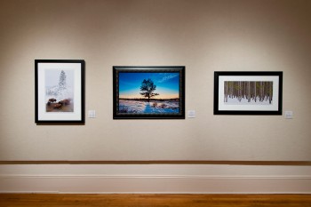 Exhibition by Visio Photography