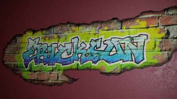 Printed Wall Graffiti by Clear Lake Press
