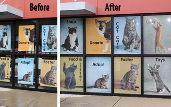 b-a Cat Depot window graphics