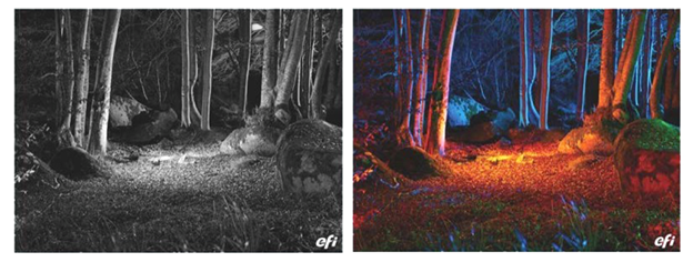 undefined-Mar-12-2026-09-24-32-3585-PM